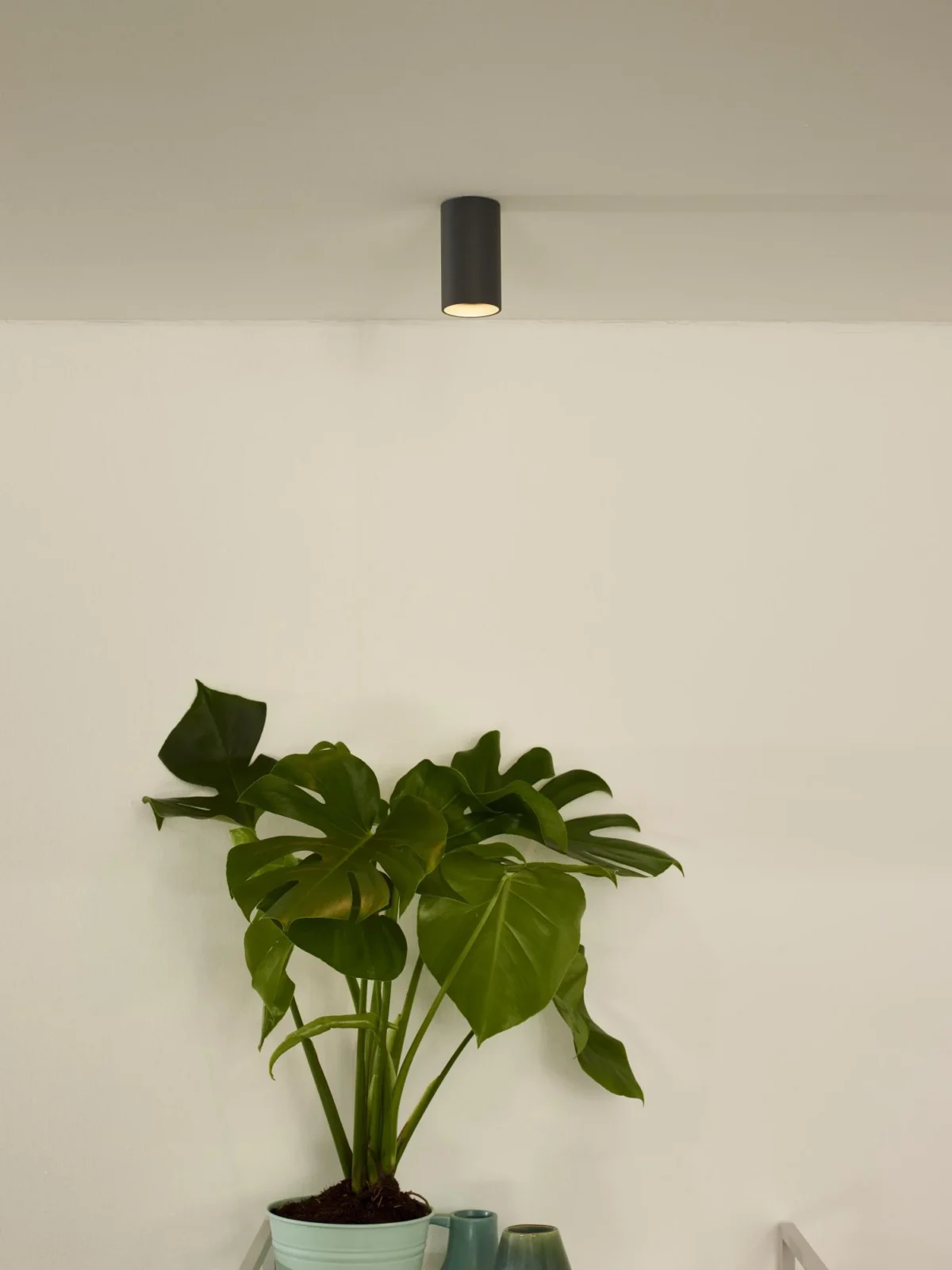 Lucide DELTO - Stropnu00e9 reflektory - u00d8 5,5 cm - LED Stmievanie na teplo - GU10 - 1x5W 2200K/3000K - sivu00e9