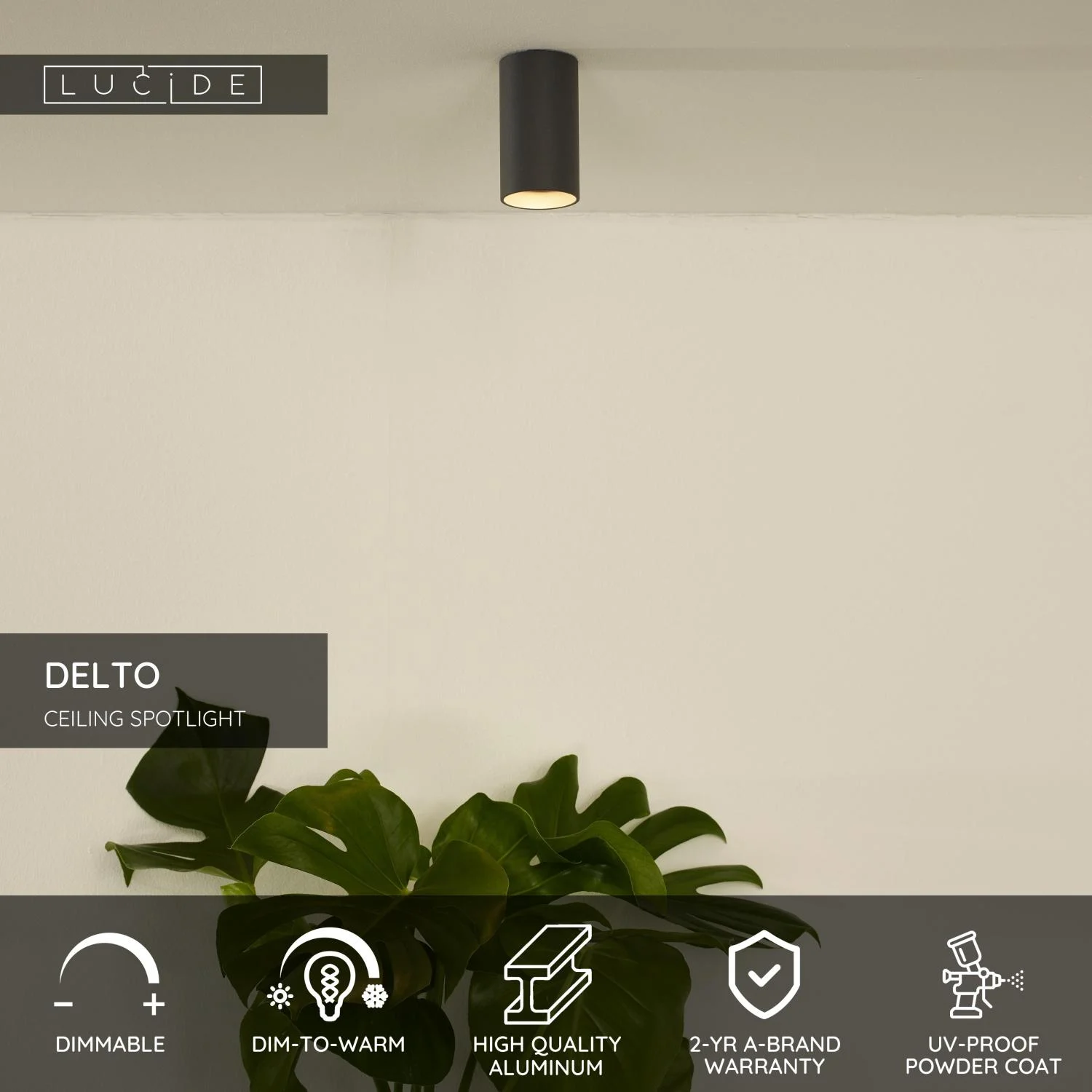 Lucide DELTO - Stropnu00e9 reflektory - u00d8 5,5 cm - LED Stmievanie na teplo - GU10 - 1x5W 2200K/3000K - sivu00e9